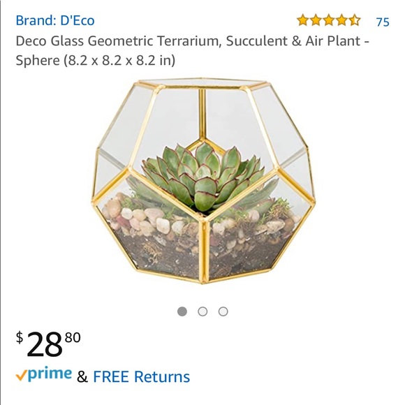 Glass and gold Terrarium - Picture 4 of 4